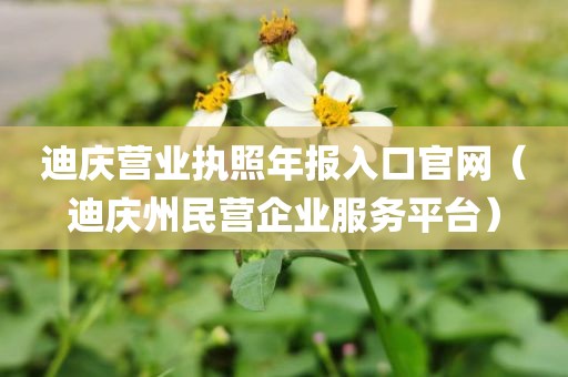 迪庆营业执照年报入口官网（迪庆州民营企业服务平台）