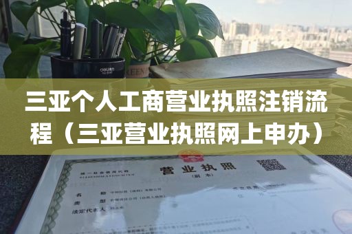 三亚个人工商营业执照注销流程（三亚营业执照网上申办）