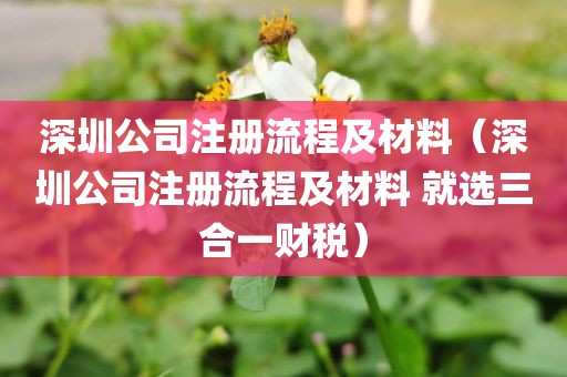 深圳公司注册流程及材料（深圳公司注册流程及材料 就选三合一财税）