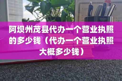 阿坝州茂县代办一个营业执照的多少钱（代办一个营业执照大概多少钱）