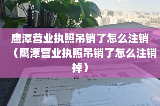 鹰潭营业执照吊销了怎么注销（鹰潭营业执照吊销了怎么注销掉）