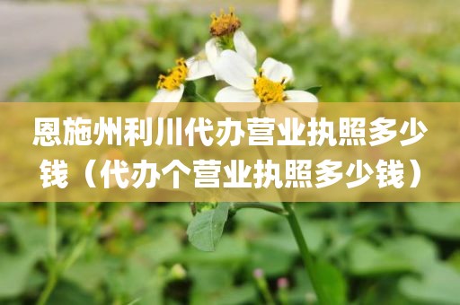恩施州利川代办营业执照多少钱(代办个营业执照多少钱)