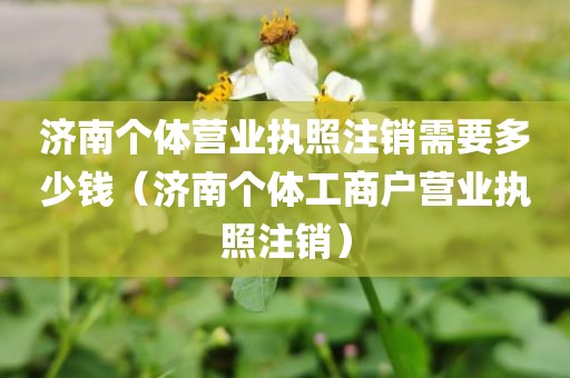 济南个体营业执照注销需要多少钱（济南个体工商户营业执照注销）