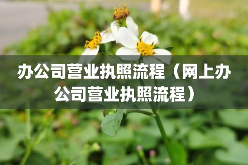 办公司营业执照流程（网上办公司营业执照流程）