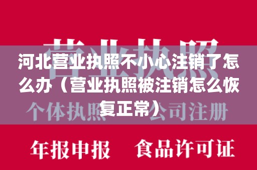 河北营业执照不小心注销了怎么办（营业执照被注销怎么恢复正常）