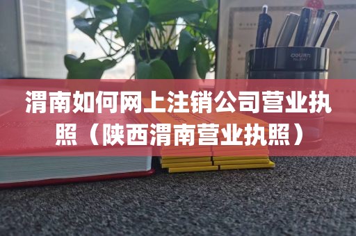 渭南如何网上注销公司营业执照（陕西渭南营业执照）