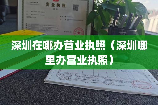 深圳在哪办营业执照（深圳哪里办营业执照）