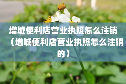 增城便利店营业执照怎么注销（增城便利店营业执照怎么注销的）