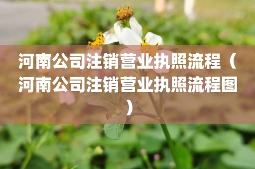 河南公司注销营业执照流程（河南公司注销营业执照流程图）