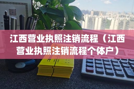 江西营业执照注销流程（江西营业执照注销流程个体户）