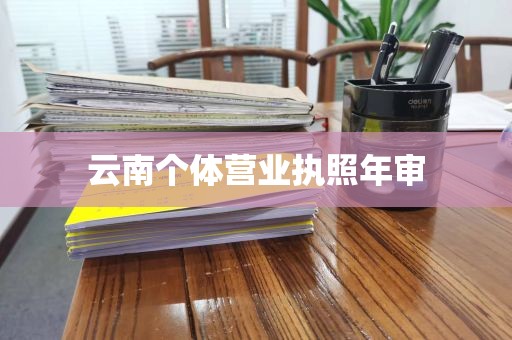 云南个体营业执照年审