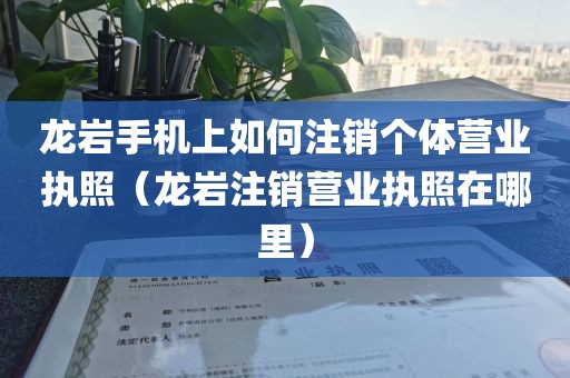 龙岩手机上如何注销个体营业执照（龙岩注销营业执照在哪里）