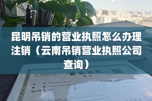 昆明吊销的营业执照怎么办理注销（云南吊销营业执照公司查询）