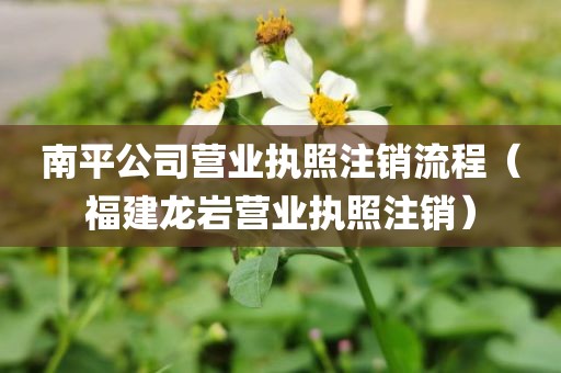 南平公司营业执照注销流程（福建龙岩营业执照注销）