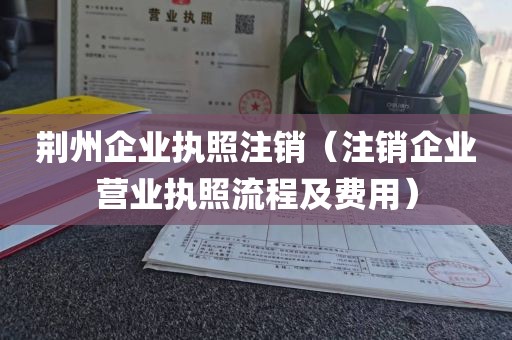荆州企业执照注销（注销企业营业执照流程及费用）