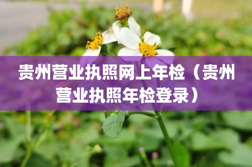 贵州营业执照网上年检（贵州营业执照年检登录）