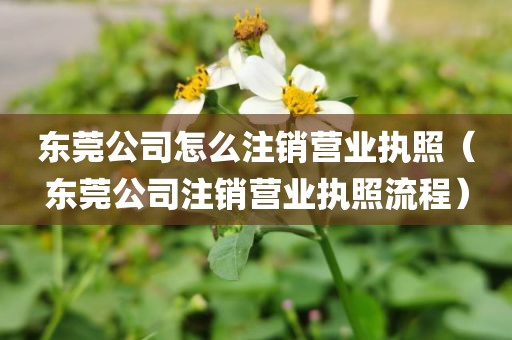 东莞公司怎么注销营业执照（东莞公司注销营业执照流程）