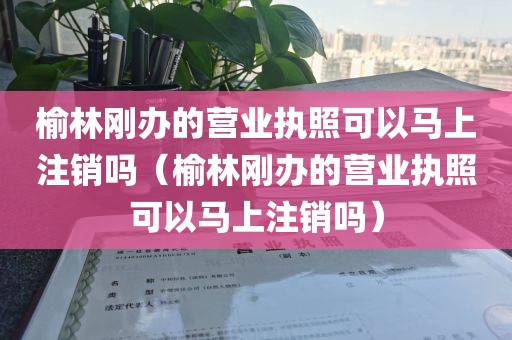 榆林刚办的营业执照可以马上注销吗（榆林刚办的营业执照可以马上注销吗）