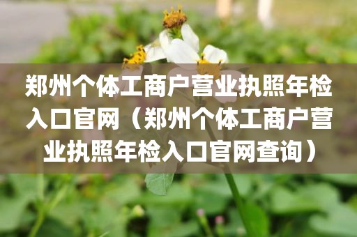 郑州个体工商户营业执照年检入口官网（郑州个体工商户营业执照年检入口官网查询）
