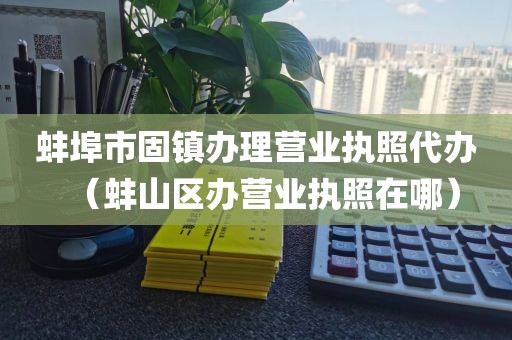 蚌埠市固镇办理营业执照代办(蚌山区办营业执照在哪)