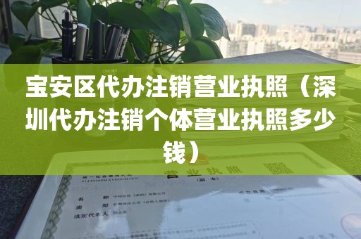 宝安区代办注销营业执照(深圳代办注销个体营业执照多少钱)