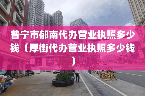 普宁市郁南代办营业执照多少钱(厚街代办营业执照多少钱)