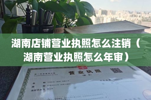 湖南店铺营业执照怎么注销（湖南营业执照怎么年审）