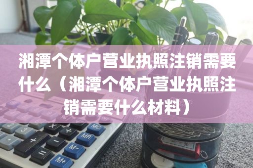 湘潭个体户营业执照注销需要什么（湘潭个体户营业执照注销需要什么材料）