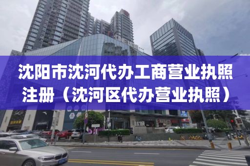 沈阳市沈河代办工商营业执照注册（沈河区代办营业执照）