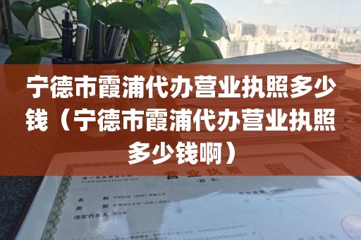 宁德市霞浦代办营业执照多少钱（宁德市霞浦代办营业执照多少钱啊）
