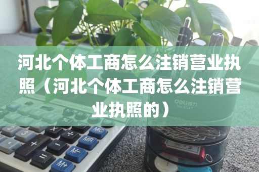 河北个体工商怎么注销营业执照（河北个体工商怎么注销营业执照的）