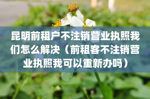 昆明前租户不注销营业执照我们怎么解决（前租客不注销营业执照我可以重新办吗）