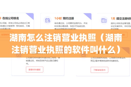湖南怎么注销营业执照（湖南注销营业执照的软件叫什么）
