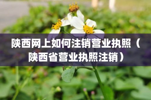 陕西网上如何注销营业执照（陕西省营业执照注销）