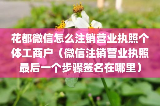 花都微信怎么注销营业执照个体工商户（微信注销营业执照最后一个步骤签名在哪里）