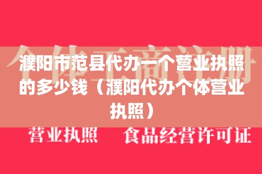 濮阳市范县代办一个营业执照的多少钱（濮阳代办个体营业执照）