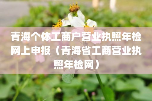 青海个体工商户营业执照年检网上申报（青海省工商营业执照年检网）
