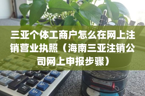 三亚个体工商户怎么在网上注销营业执照（海南三亚注销公司网上申报步骤）