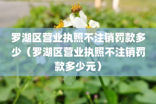 罗湖区营业执照不注销罚款多少（罗湖区营业执照不注销罚款多少元）