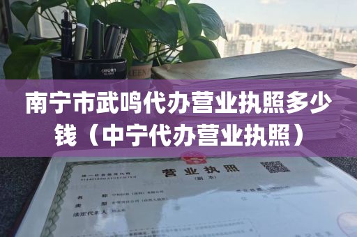 南宁市武鸣代办营业执照多少钱（中宁代办营业执照）