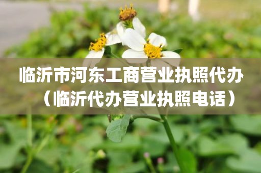 临沂市河东工商营业执照代办（临沂代办营业执照电话）
