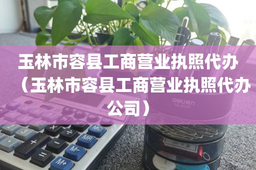 玉林市容县工商营业执照代办（玉林市容县工商营业执照代办公司）