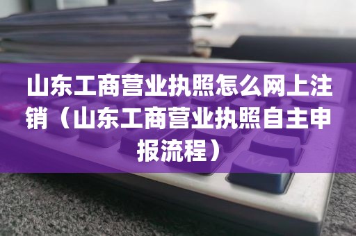 山东工商营业执照怎么网上注销（山东工商营业执照自主申报流程）