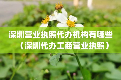深圳营业执照代办机构有哪些（深圳代办工商营业执照）