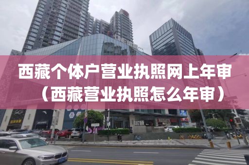 西藏个体户营业执照网上年审（西藏营业执照怎么年审）