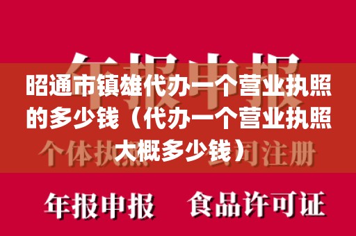 昭通市镇雄代办一个营业执照的多少钱（代办一个营业执照大概多少钱）