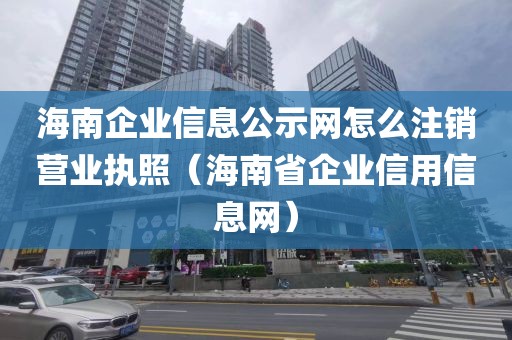 海南企业信息公示网怎么注销营业执照（海南省企业信用信息网）