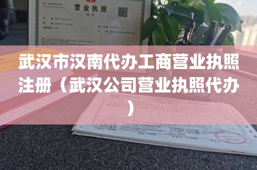 武汉市汉南代办工商营业执照注册（武汉公司营业执照代办）
