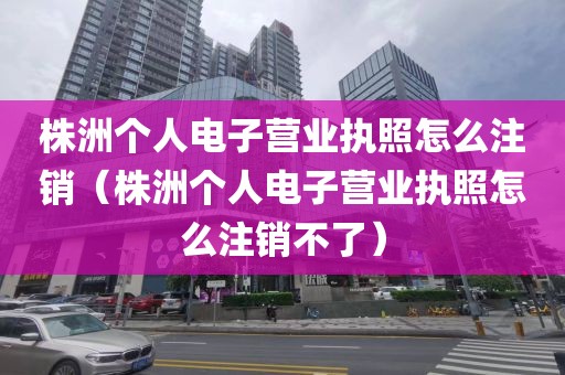 株洲个人电子营业执照怎么注销(株洲个人电子营业执照怎么注销不了)