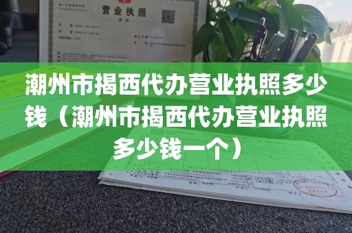 潮州市揭西代办营业执照多少钱（潮州市揭西代办营业执照多少钱一个）